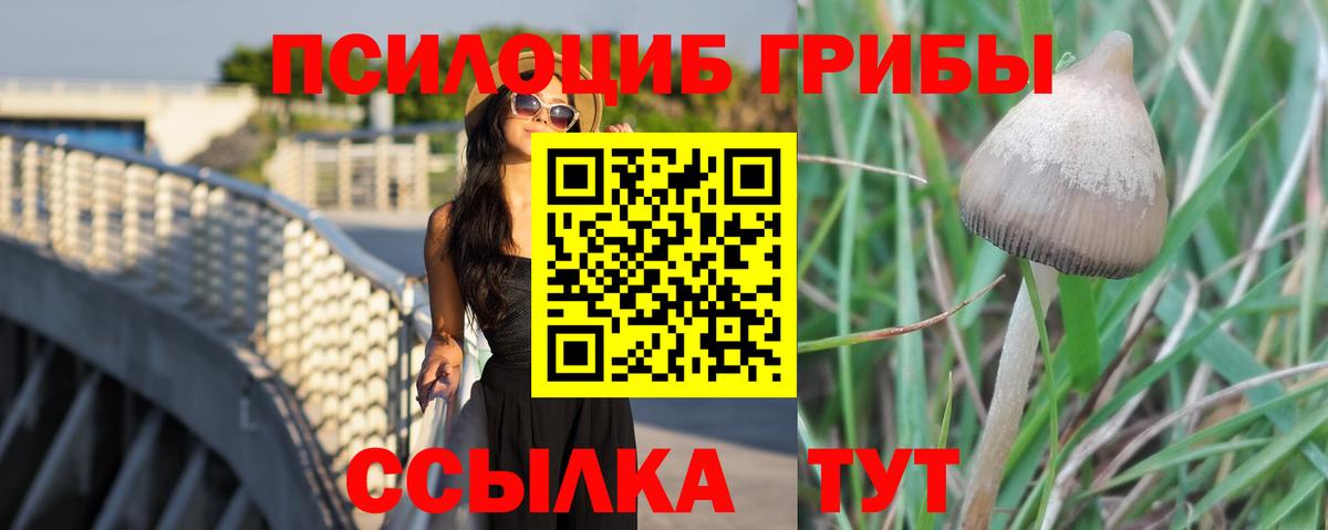 Галлюциногенные грибы мухоморы  Вход с VPN  даркнет сайт  Туймазы 