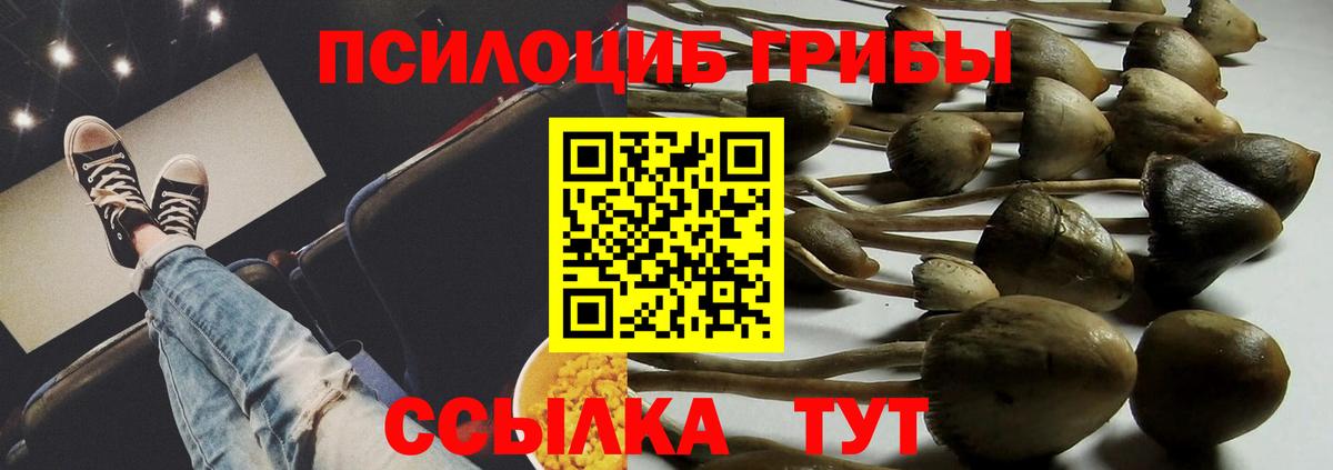 Псилоцибиновые грибы Psilocybine cubensis Туймазы
